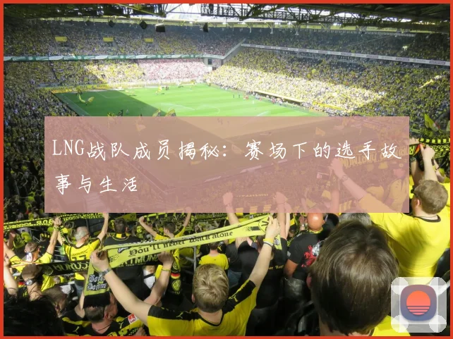 LNG战队成员揭秘:赛场下的选手故事与生活