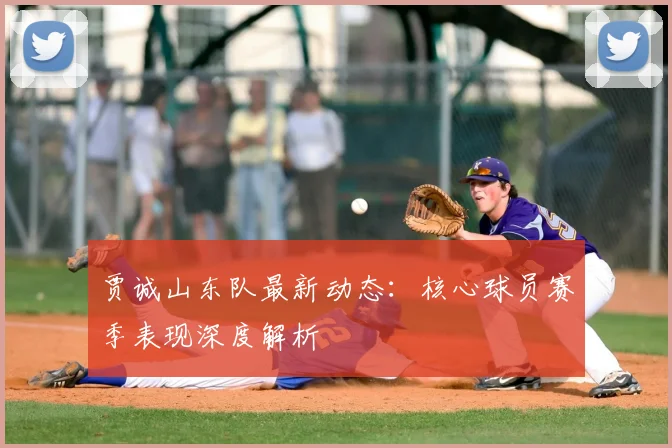 贾诚山东队最新动态:核心球员赛季表现深度解析