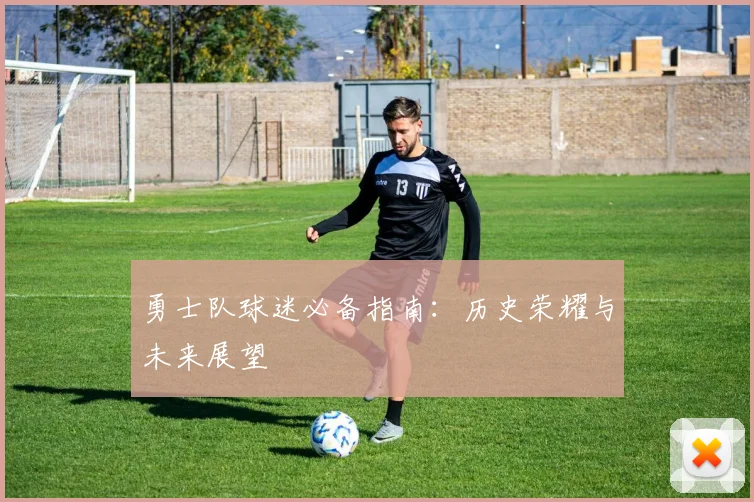 勇士队球迷必备指南：历史荣耀与未来展望